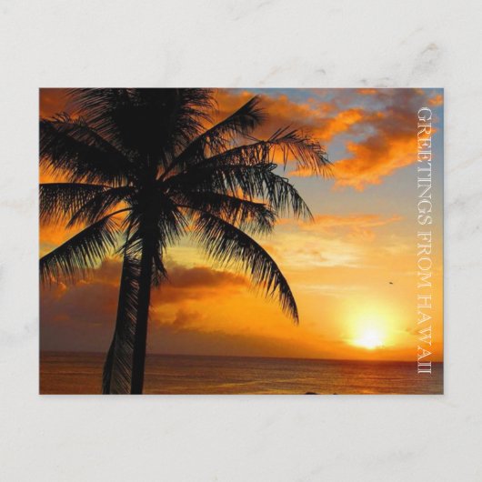 Sonnenuntergang Postkarte (Vorderseite)