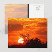 Sonnenuntergang Postkarte (Vorne/Hinten)