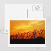 Sonnenuntergang Postkarte (Vorne/Hinten)
