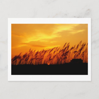 Sonnenuntergang Postkarte