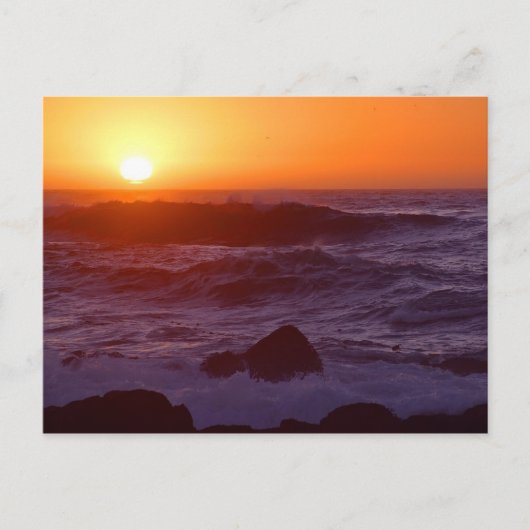 Sonnenuntergang Postkarte (Vorderseite)