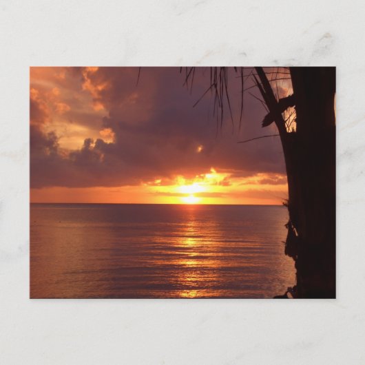 Sonnenuntergang Postkarte (Vorderseite)