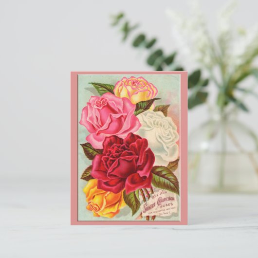 Sonnenuntergang Rose Postkarte (Stehend Vorderseite)