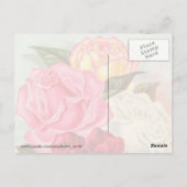 Sonnenuntergang Rose Postkarte (Rückseite)