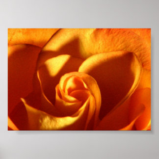 Sonnenuntergang Rose Schöne Naturfotografie Poster