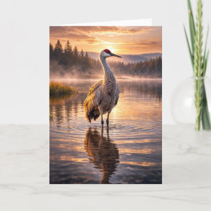 Sonnenuntergang Sandhügel-Kran Spiegelndes Wassers Karte