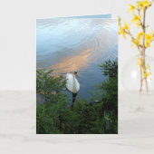 Sonnenuntergang-Schwan Karte (Gelbe Blume)