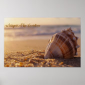 Sonnenuntergang: Seashell am Ufer Poster (Vorne)