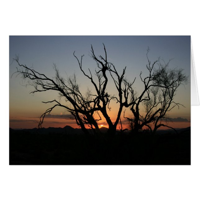 Sonnenuntergang Silhouette (Vorderseite (Horizontal))