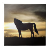 Sonnenuntergang Silhouette Geschenkstück Fliese (Vorderseite)