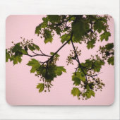 Sonnenuntergang-Silhouette Mousepad (Vorne)