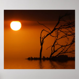 Sonnenuntergang Silhouette Poster