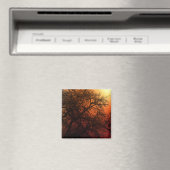 Sonnenuntergang Silhouette Winterbaum Magnet (In Situ (Geschirrspüler))
