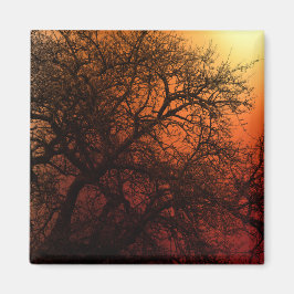 Sonnenuntergang Silhouette Winterbaum Magnet