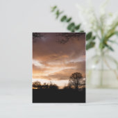 Sonnenuntergang Silhouetten Postkarte (Stehend Vorderseite)
