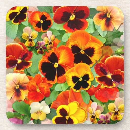 Sonnenuntergang Stiefmütterchen Getränkeuntersetzer (Vorderseite)