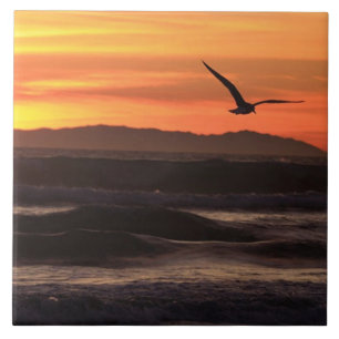 Sonnenuntergang-Strand-Zuhause-Fliese Fliese