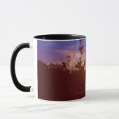 Sonnenuntergang-Tasse Tampas Florida Tasse (Links)