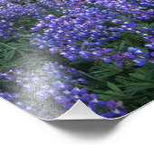 Sonnenuntergang über Adams und einer subalpinen Wi Fotodruck (Ecke)