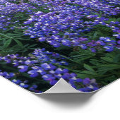 Sonnenuntergang über Adams und einer subalpinen Wi Poster (Ecke)