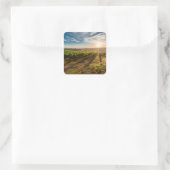 Sonnenuntergang über dem Aufkleber (Tasche)