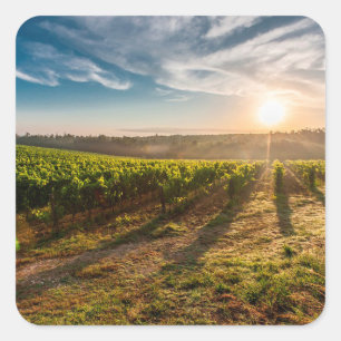 Sonnenuntergang über dem Aufkleber