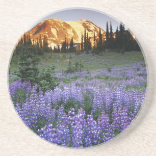 Sonnenuntergang über dem Berg Adams und einer sub Untersetzer