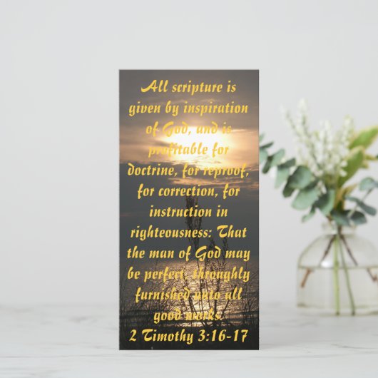 Sonnenuntergang über dem Lake Michigan Print oder  (Stehend Vorderseite)