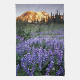 Sonnenuntergang über dem Mt. Adams und einer subal Handtuch