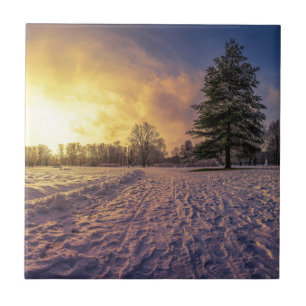 Sonnenuntergang über dem schneebedeckten Winterpar Fliese