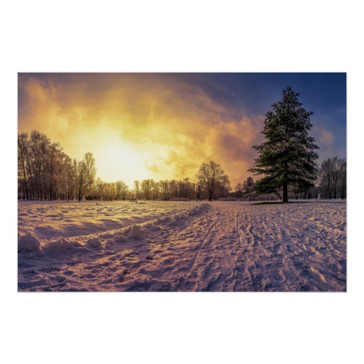 Sonnenuntergang über dem schneebedeckten Winterpar Poster (Vorderseite)
