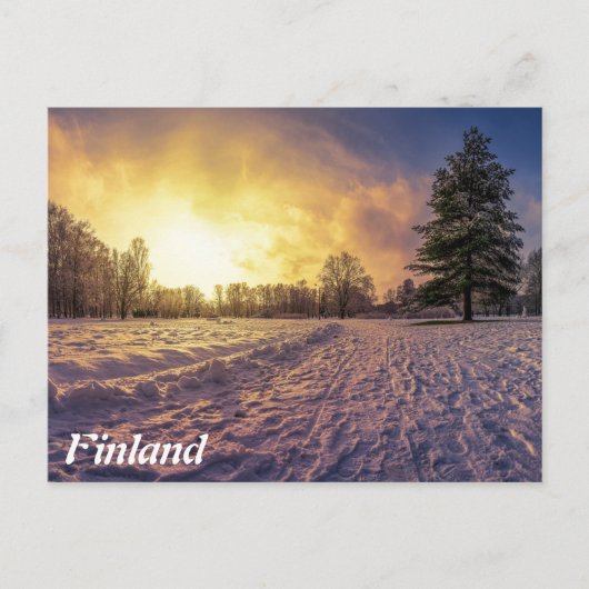 Sonnenuntergang über dem schneebedeckten Winterpar Postkarte (Vorderseite)