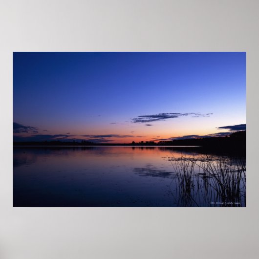 Sonnenuntergang über dem Wabamun-See mit Gras Poster (Vorne)