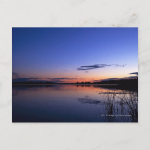 Sonnenuntergang über dem Wabamun-See mit Gras Postkarte