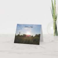 Sonnenuntergang über den Bäumen - Denken Sie an Ih