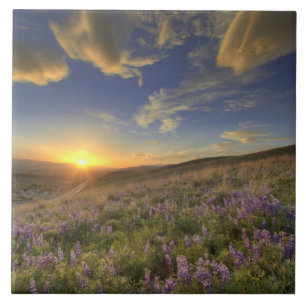 Sonnenuntergang über den Bitterroot Mountains und  Fliese