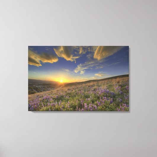 Sonnenuntergang über den Bitterroot Mountains und  Leinwanddruck (Vorderseite)