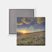 Sonnenuntergang über den Bitterroot Mountains und  Magnet (Vorderseite/Rückseite)