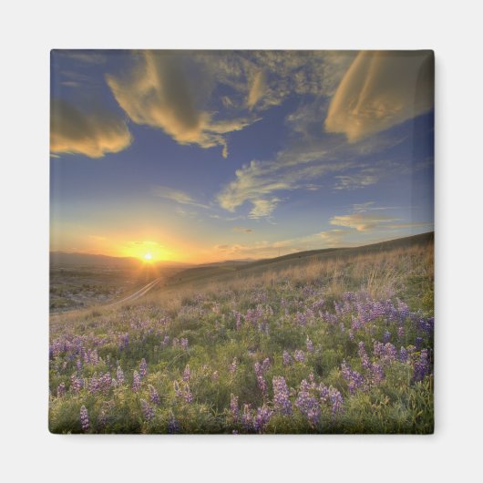 Sonnenuntergang über den Bitterroot Mountains und  Magnet (Vorne)
