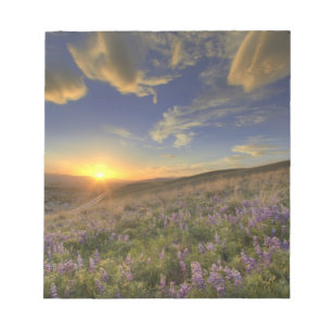 Sonnenuntergang über den Bitterroot Mountains und  Notizblock