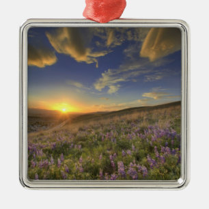 Sonnenuntergang über den Bitterroot Mountains und Silbernes Ornament