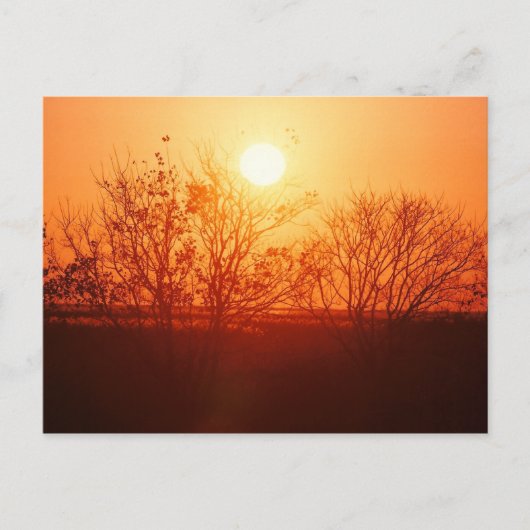 Sonnenuntergang über der Bayou Postkarte (Vorderseite)