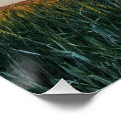 Sonnenuntergang über einem Feld Poster (Ecke)