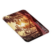 Sonnenuntergang über einem Holzweg im Kiefernwald Magnet (Rechte Seite)