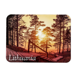 Sonnenuntergang über einem Holzweg im Kiefernwald Magnet