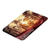 Sonnenuntergang über einem Holzweg im Kiefernwald Magnet (Linke Seite)