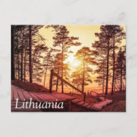 Sonnenuntergang über einem Holzweg im Kiefernwald
