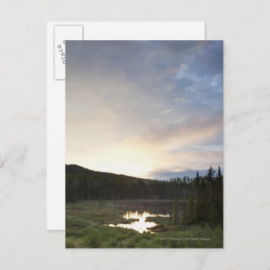 Sonnenuntergang über einem nebelhaften Teich Postkarte (Vorne/Hinten)