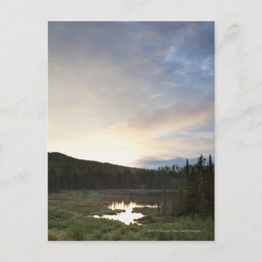 Sonnenuntergang über einem nebelhaften Teich Postkarte (Vorderseite)