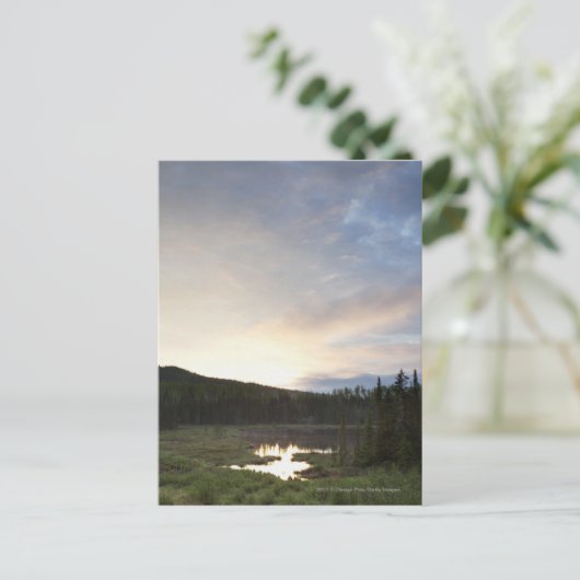 Sonnenuntergang über einem nebelhaften Teich Postkarte (Stehend Vorderseite)